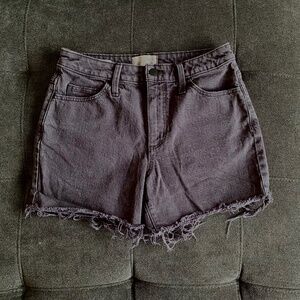 Universal Thread Black Denim Shorts with Distressed Detail